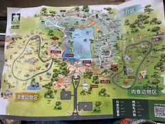 -清迈夜间动物园