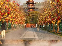 -龙华寺