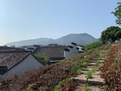 -帐篷客·溪龙茶谷度假酒店