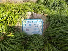 -秋霞圃