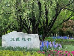 -海淀公园