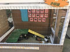 -神户市立六甲山牧场