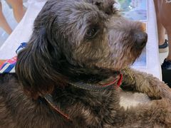 -远洋未来广场(育慧北路店)