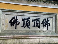 -普陀山风景区-佛顶山