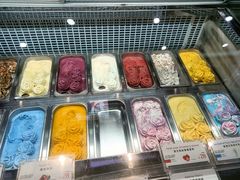 -iceason爱茜茜里·意大利健康冰淇淋(骑龙巷店)