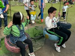 -菊园百果园