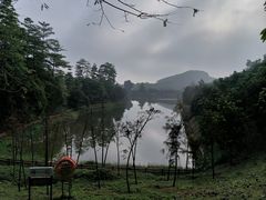 -大屏嶂森林公园