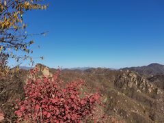 -大岭沟猕猴桃谷风景区