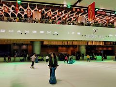 -TheRink大零溜冰场(IFS国金中心店)