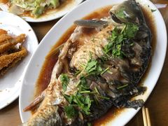 -微山岛春天里酒家