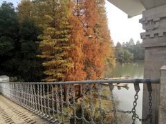 -东湖落雁景区