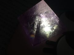 -芝士洋馆定制蛋糕店·低糖