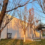 【太阳宫安馨花园】不用去郊区也有大草地