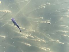 -中关村生命科学园