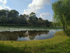-上海鲜花港