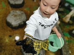 -上海大自然野生昆虫馆(东方明珠·爬宠昆虫探索中心)