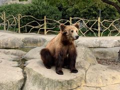 -常州淹城野生动物世界
