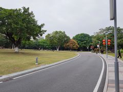 -东莞植物园