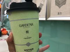 -岭南站NOVA
