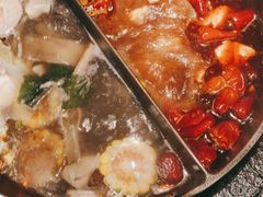 -盡膳口福跷脚牛肉火锅(北美新天地店)