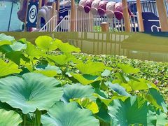 -天津蜂巢幼儿园·托育