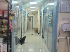 -全心全意连锁动物医院·微创中心·内科急重症·心脏专科(丰管路店)