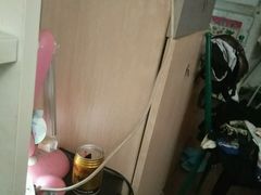 -狮子王庆典