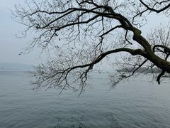 -浙江西子宾馆·牡丹厅