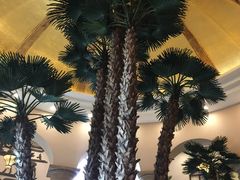 -圣爵菲斯大酒店(长沙世界之窗店)