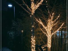 -BK博·康健身(金地格林小镇店)