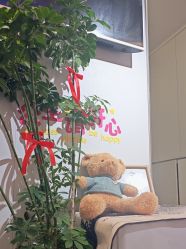 -MB·nail美甲美睫