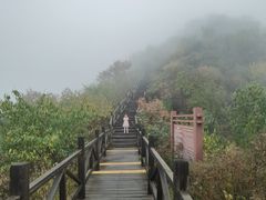 -大岭沟猕猴桃谷风景区