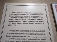 -中国茶叶博物馆(双峰馆区)