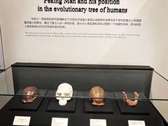 -北京周口店北京人遗址博物馆