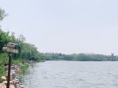 -大兴滨河森林公园