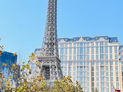 -澳门喜来登大酒店