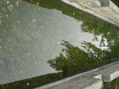 仙游桥-仙游岛公园