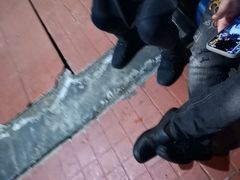 -三圣花乡旅游区