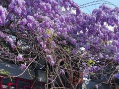 -郑和公园