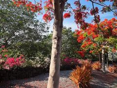 -海南鉴湖蓝湾高尔夫球会