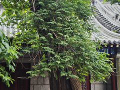 -青岛崂山太清宫