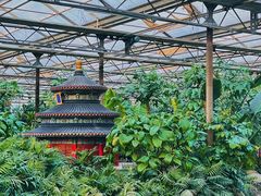 -南宫五洲植物乐园