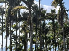 -七仙岭温泉国家森林公园
