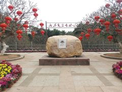 -广东茂名森林公园