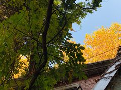 -古董花园(思南路42弄小区店)