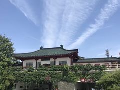 -茶颜悦色(岳麓山顶店)