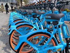 -东方体育中心(地铁站)