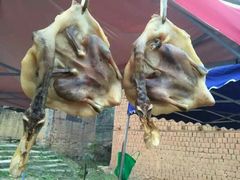 -南雄冯屋银杏山庄