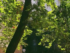 -春庄咖啡SpringHues(钟楼小区店)