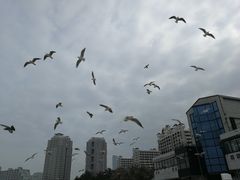 景点-台场海滨公园船码头